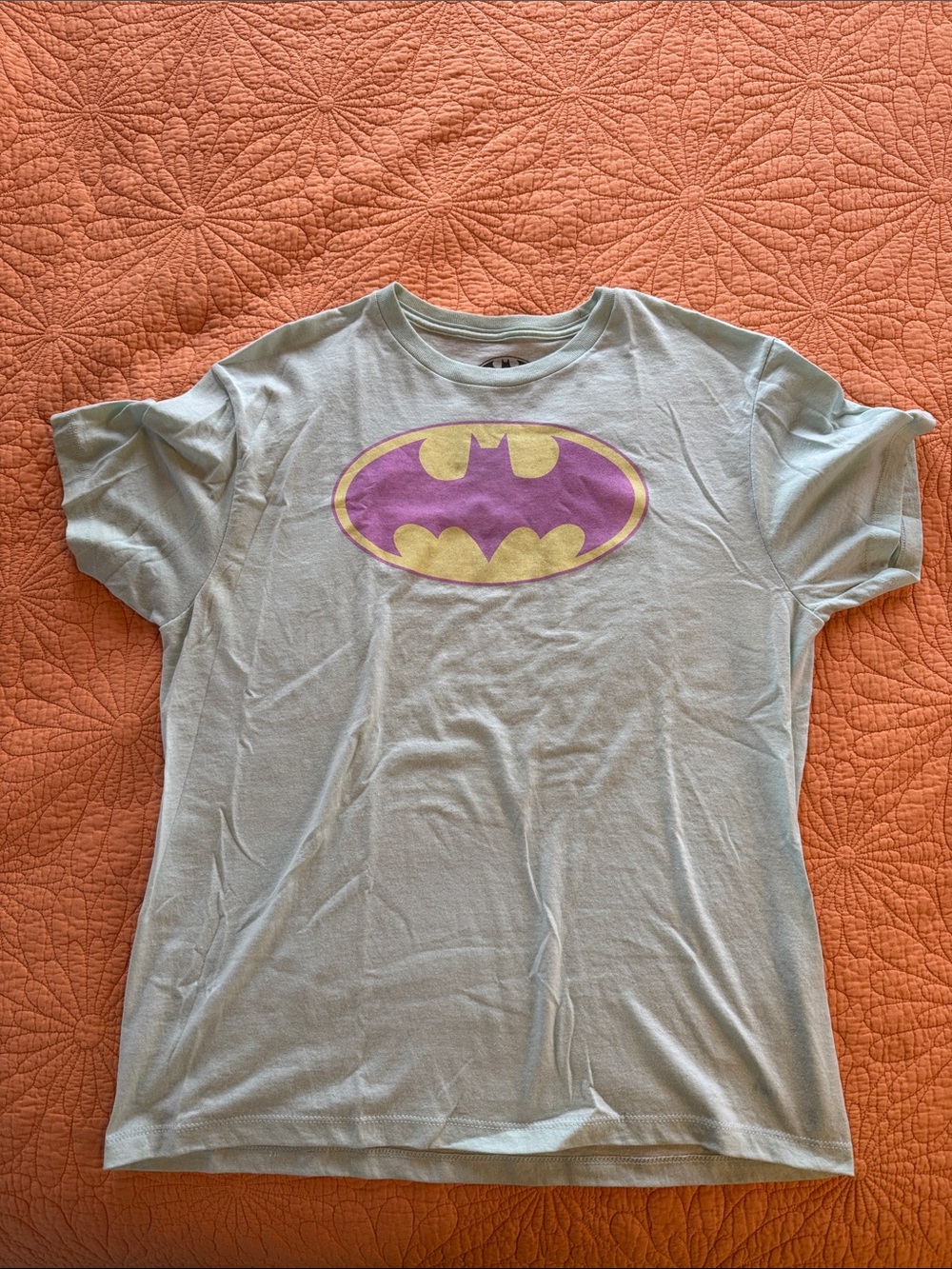 DC Comics Mint Green Batman Logo Tee